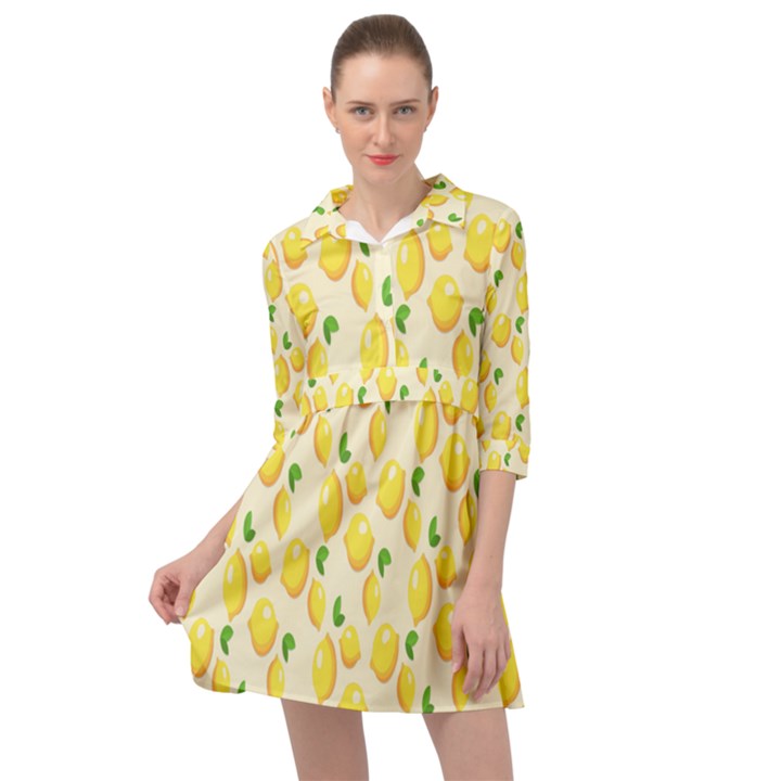 Lemon Mini Skater Shirt Dress