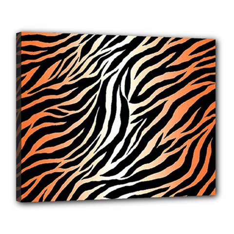 Cuts  Catton Tiger Canvas 20  X 16  (stretched) by nate14shop