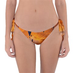 Emotions Reversible Bikini Bottom by nate14shop