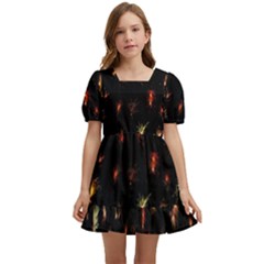 Fireworks- Kids  Short Sleeve Dolly Dress