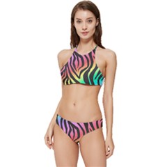 Rainbow Zebra Stripes Banded Triangle Bikini Set