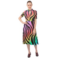 Rainbow Zebra Stripes Keyhole Neckline Chiffon Dress by nate14shop