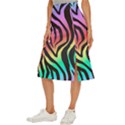 Rainbow Zebra Stripes Midi Panel Skirt View2