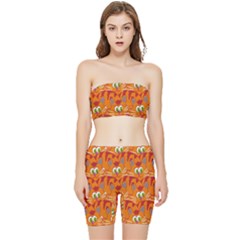 Animals Pet Cats Stretch Shorts And Tube Top Set by artworkshop