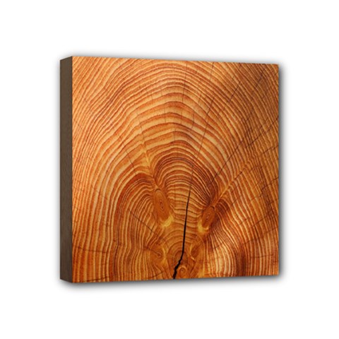 Annual Rings Tree Wood Mini Canvas 4  X 4  (stretched) by artworkshop