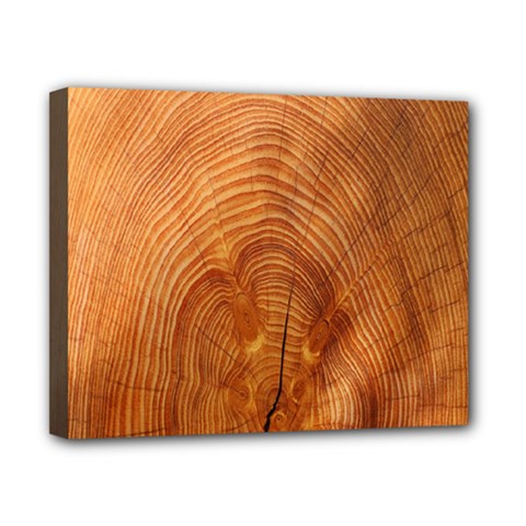 Annual Rings Tree Wood Canvas 10  X 8  (stretched) by artworkshop