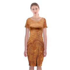 Annual Rings Tree Wood Classic Short Sleeve Midi Dress by artworkshop