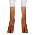 Annual Rings Tree Wood Crew Socks View1