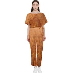 Annual Rings Tree Wood Batwing Lightweight Chiffon Jumpsuit by artworkshop