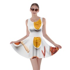 Masala Spices Food Skater Dress by artworkshop