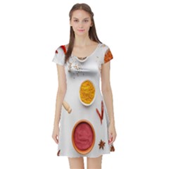 Masala Spices Food Short Sleeve Skater Dress by artworkshop