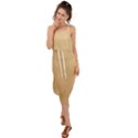 Paper Brown Waist Tie Cover Up Chiffon Dress View1