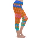 Sky Delight Capri Winter Leggings  View3