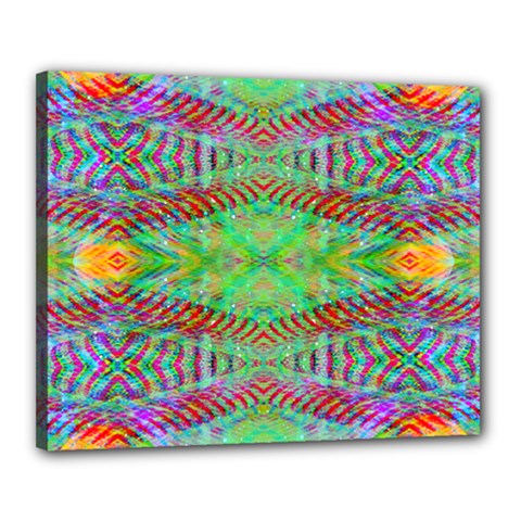 Whimsy Mint Canvas 20  X 16  (stretched) by Thespacecampers