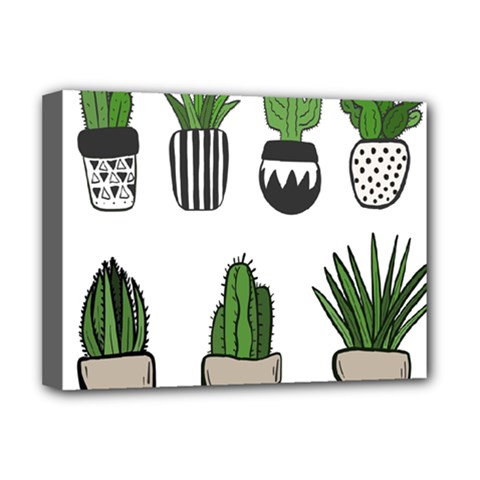 Succulents Deluxe Canvas 16  X 12  (stretched) 