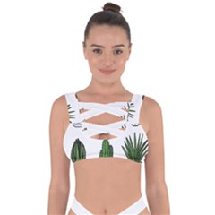 Succulents Bandaged Up Bikini Top