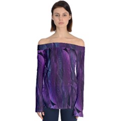 Feather Off Shoulder Long Sleeve Top by artworkshop