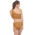 Hardwood Vertical Spliced Up Two Piece Swimsuit View2