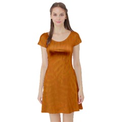 Orange Short Sleeve Skater Dress by nate14shop