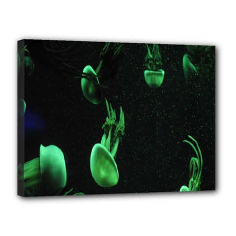 Jellyfish Canvas 16  X 12  (stretched) by nate14shop