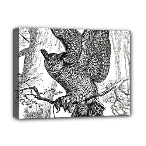 Owl-animals-wild-jungle-nature Deluxe Canvas 16  X 12  (stretched) 