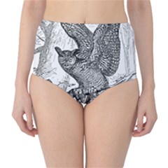 Owl-animals-wild-jungle-nature Classic High-waist Bikini Bottoms