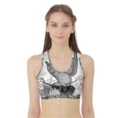 Owl-animals-wild-jungle-nature Sports Bra With Border