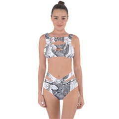 Owl-animals-wild-jungle-nature Bandaged Up Bikini Set 