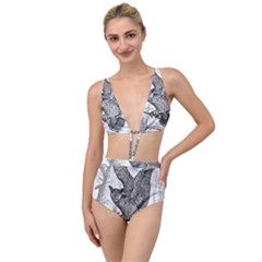 Owl-animals-wild-jungle-nature Tied Up Two Piece Swimsuit