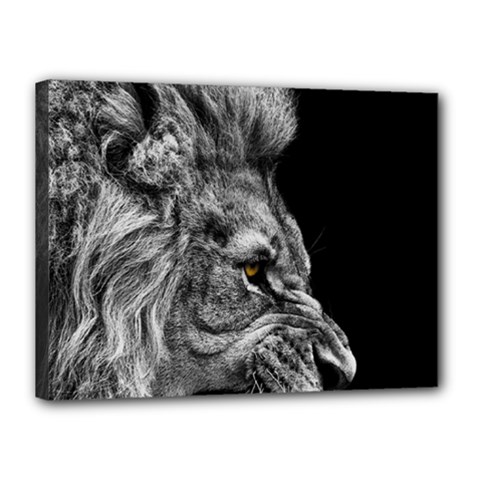 Angry Male Lion Canvas 16  X 12  (stretched)