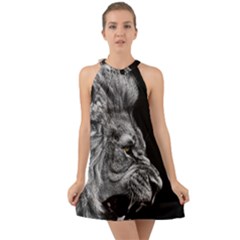 Angry Male Lion Halter Tie Back Chiffon Dress