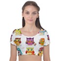 Cartoon-cute-owl-vector Velvet Short Sleeve Crop Top  View1