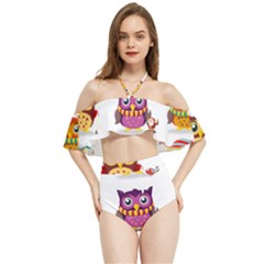 Cartoon-cute-owl-vector Halter Flowy Bikini Set 