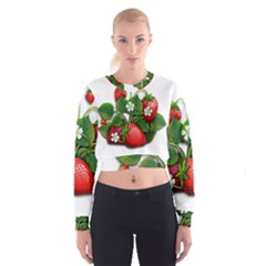 Strawberries-fruits-fruit-red Cropped Sweatshirt by Jancukart