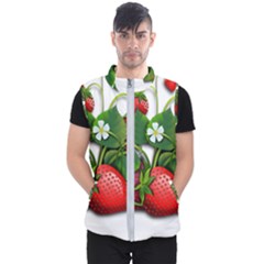 Strawberries-fruits-fruit-red Men s Puffer Vest