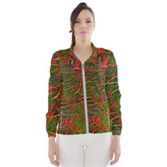 Background-pattern-texture- Women s Windbreaker