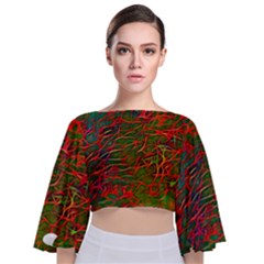 Background-pattern-texture- Tie Back Butterfly Sleeve Chiffon Top