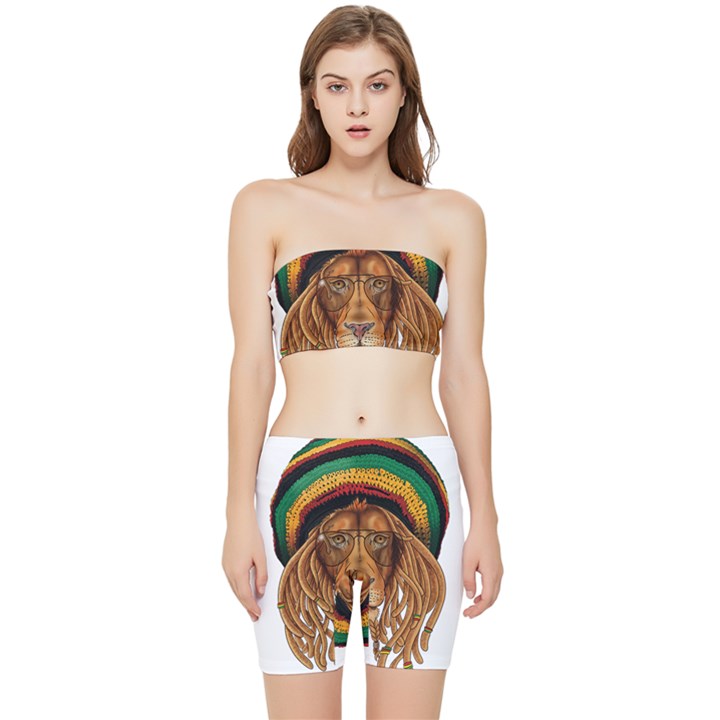 Lion Rastafari Stretch Shorts and Tube Top Set