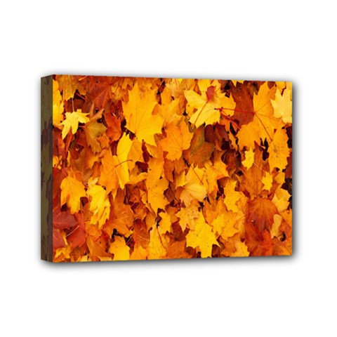 Fall Mini Canvas 7  X 5  (stretched) by artworkshop