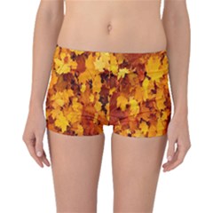 Fall Boyleg Bikini Bottoms by artworkshop