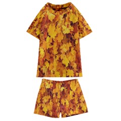 Fall Kids  Swim Tee And Shorts Set by artworkshop