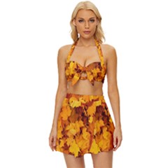 Fall Vintage Style Bikini Top And Skirt Set 