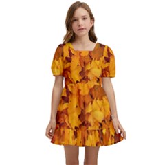 Fall Kids  Short Sleeve Dolly Dress