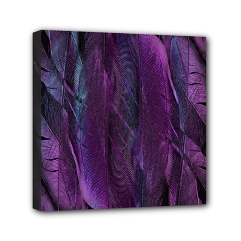 Feather Mini Canvas 6  X 6  (stretched) by artworkshop