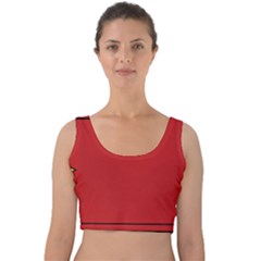 Pokedex Velvet Crop Top