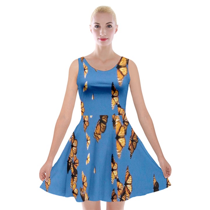 Eastern Monarch Butterfly Velvet Skater Dress