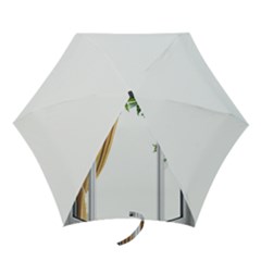 Window Mini Folding Umbrellas