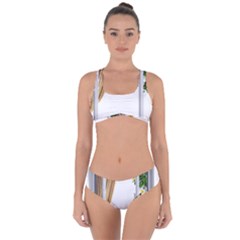 Window Criss Cross Bikini Set