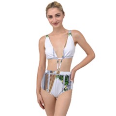 Window Tied Up Two Piece Swimsuit