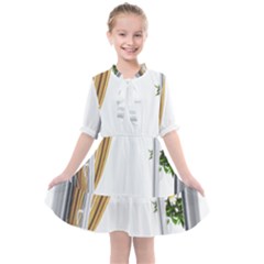 Window Kids  All Frills Chiffon Dress